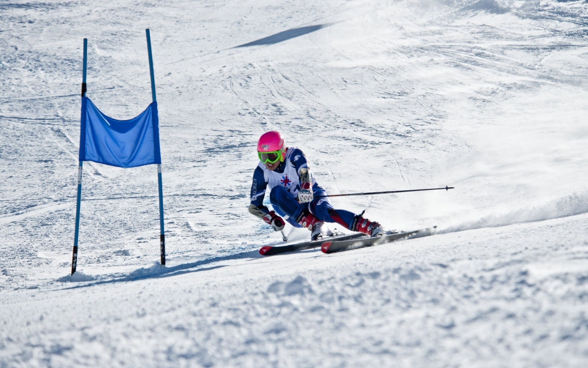 孤星闪耀,2026世界杯F组,尼日利亚击碎乌兹别克斯坦防线,阿方索·戴维斯用速度定义唯一